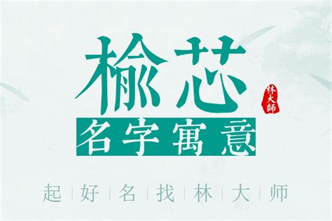 芯名字